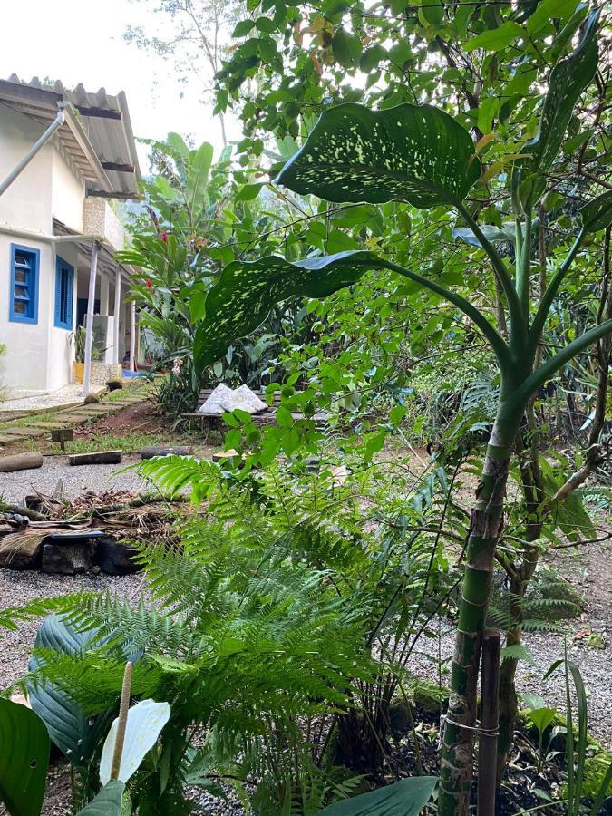 Casa Dos Ventos - Refugio, Sustentabilidade, Conexao Ubatuba Luaran gambar