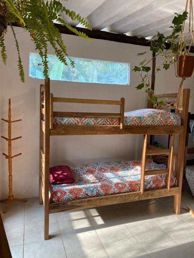 Casa Dos Ventos - Refugio, Sustentabilidade, Conexao Ubatuba Luaran gambar